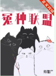 [猎人同人] 猎人之囧到旅团