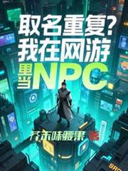 禁止迷恋秘书NPC