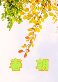 [原神] 蕈兽的提瓦特漫游指南