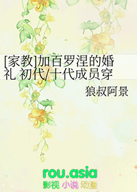 胤礽的太子群（清穿）
